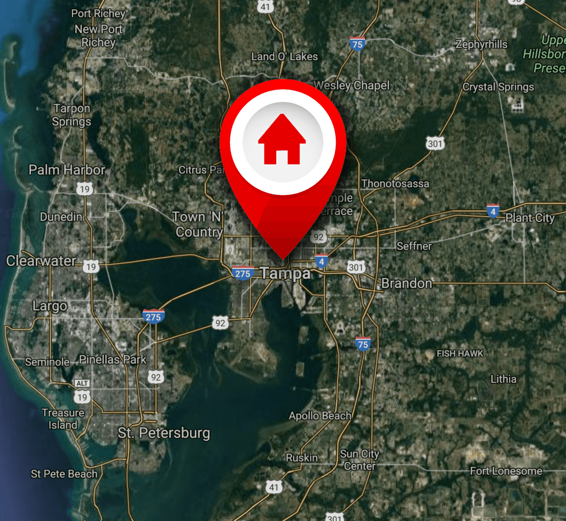 Realtor in the Tampa Bay Area